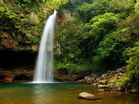A Serene Retreat: Exploring Fiji's Magical Waterfalls